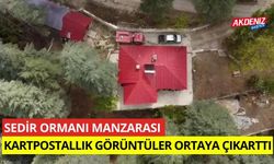 Sedir ormanı manzarası kartpostallık görüntüler ortaya çıkarttı