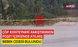 Çöp konteyneri karıştırırken poşet içerisinde atılmış bebek cesedi bulundu