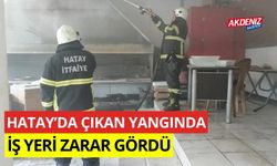 Hatay'da çıkan yangında iş yeri zarar gördü