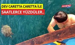 Dev carretta caretta ile saatlerce yüzdüler