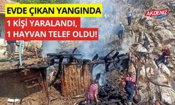 Evde çıkan yangında 1 kişi yaralandı, 1 hayvan telef oldu