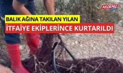 Balık ağına takılan yılan itfaiye ekiplerince kurtarıldı