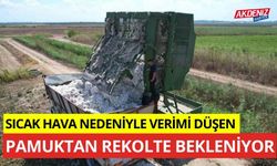 Sıcak hava nedeniyle verimi düşen pamuktan rekolte bekleniyor