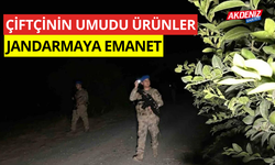 Çiftçinin umudu ürünler, jandarmaya emanet