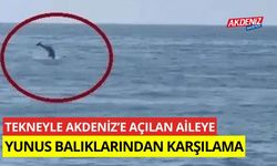 Tekneyle Akdeniz'e açılan aileye yunus balıklarından karşılama