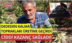 Dededen kalma toprakları üretime geçirdi, ciddi kazanç sağladı