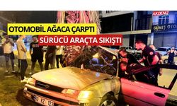 OSMANİYE'DE AĞACA ÇARPAN OTOMOBİLİN SÜRÜCÜSÜ YARALANDI