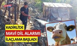 OSMANİYE’DE MAVİ DİL ALARMI: İLAÇLAMA BAŞLADI