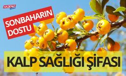 Sonbaharın dostu, kalp sağlığının şifası