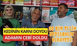 OSMANİYE’DEKİ ÖDÜLLÜ KAYIP KEDİ BULUNDU