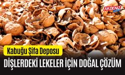 Kabuğu Şifa Deposu Dişlerdeki Lekeler için Doğal Çözüm