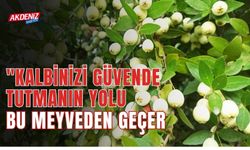 Kalbinizi Güvende Tutmanın Yolu Bu Meyveden Geçer