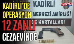 SİLAH VE UYUŞTURUCUYLA YAKALANDILAR: 12 KİŞİ TUTUKLANDI