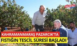 Kahramanmaraş Pazarcık'ta fıstığının tescil süreci başladı