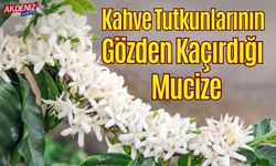 Kahve Tutkunlarının Gözden Kaçırdığı Mucize