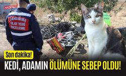 Kedi, adamın ölümüne sebep oldu!