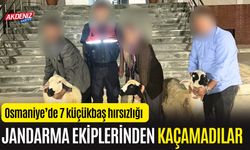 OSMANİYE'DE KÜÇÜKBAŞ HAYVAN HIRSIZLIĞI ŞÜPHELİSİ 3 KİŞİ YAKALANDI