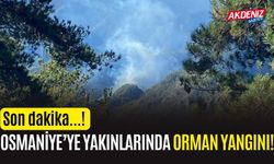 SON DAKİKA! OSMANİYE VE HATAY ARASINDA YANGIN!