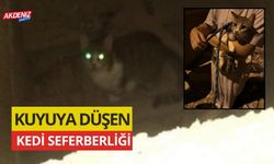 Kuyuya düşen kedi için seferber oldular