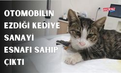 OSMANİYE'DE YARALI KEDİYE ESNAF SAHİP ÇIKTI