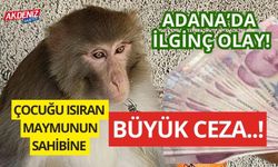 Adana'da çocuğu ısıran maymunun sahibine büyük ceza!