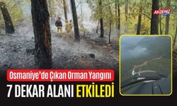 OSMANİYE’DE ÇIKAN ORMAN YANGINI 7 DEKAR ALANI ETKİLEDİ