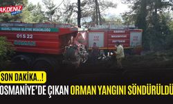 OSMANİYE'DE ÇIKAN ORMAN YANGINI SÖNDÜRÜLDÜ