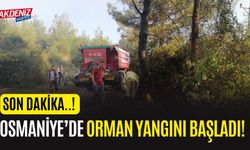 SON DAKİKA! OSMANİYE'DE ORMAN YANGINI BAŞLADI!