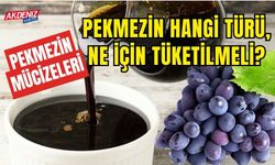 Pekmezin Hangi Türü Ne İçin Tüketilmeli? İşte pekmezin mucizeleri...