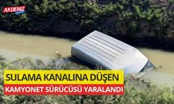 Su Kanalına Düşen Kamyonet Sürücüsü yaralandı