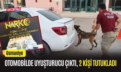 OSMANİYE'DE OTOMOBİLDE 33 KİLO 400 GRAM UYUŞTURUCU ÇIKTI, 2 KİŞİ TUTUKLADI