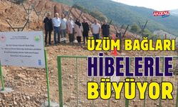 OSMANİYE'DE ÜZÜM BAĞLARI HİBELERLE BÜYÜYOR