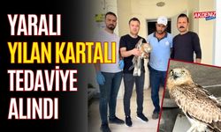 OSMANİYE'DE YARALI BULUNAN YILAN KARTALI TEDAVİYE ALINDI