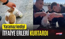 Yaramaz kediyi itfaiye erleri kurtardı