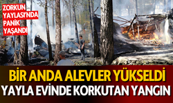 Osmaniye’de yayla evinde çıkan yangın paniğe neden oldu