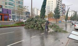 95 Km’lik Fırtına Kahramanmaraş’ta Hayatı Felç Etti