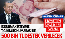 E-Devlet’ten başvurular başladı! TC kimlik numarası ile 500 bin TL destek verilecek