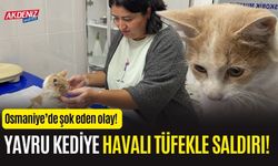 OSMANİYE'DEKİ KEDİ OLAYININ GERÇEĞİ BAKIN NEREDE ORTAYA ÇIKTI