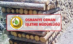 ORMAN EMVALİ İSTİFLEME HİZMETİ ALINACAKTIR