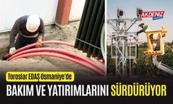 OSMANİYE'DE TOROS EDAŞ, BAKIM VE YATIRIMLARINI SÜRDÜRÜYOR