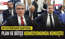 OSMANİYE MİLLETVEKİLİ GÜLSOY, PLAN VE BÜTÇE KOMİSYONUNDA KONUŞMA YAPTI