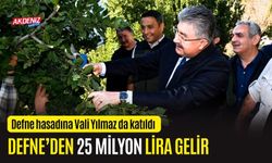 OSMANİYE'DE DEFNE YAPRAĞINDAN 25 MİLYON GELİR ELDE EDİLİYOR