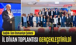 OSMANİYE SAĞLIK-SEN İL DİVAN TOPANTISI YAPILDI