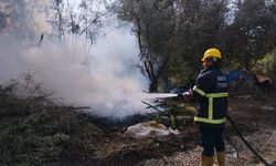 Zeytin bahçesinde korkutan yangın!