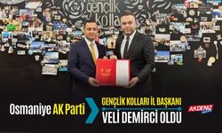 OSMANİYE: AK PARTİ GENÇLİK KOLLARI İL BAŞKANI VELİ DEMİRCİ OLDU