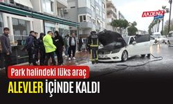 Park halindeki lüks araç alevler içinde kaldı