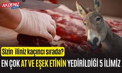 En çok at ve eşek etinin yedirildiği 5 ilimiz