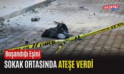 Boşandığı Eşini Sokak Ortasında Ateşe Verdi