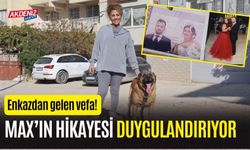 Deprem Enkazından Gelen Vefa: Köpek Max’ın Acı Hikayesi