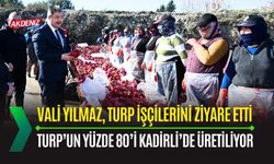 OSMANİYE: TURP'UN YÜZDE 80'İ KADİRLİ'DE ÜRETİLİYOR